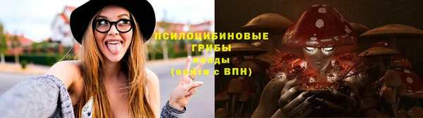 гашик Магадан