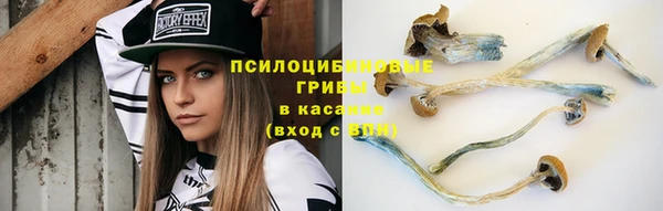 мяу мяу мука Магас