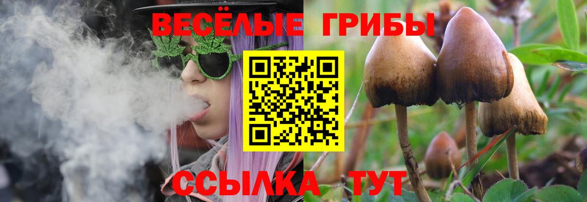 Псилоцибиновые грибы мухоморы  Шебекино 